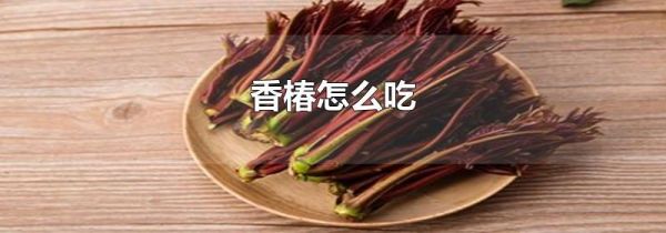 香椿怎么吃