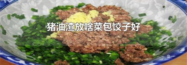 猪油渣放啥菜包饺子好