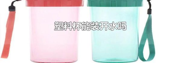 塑料杯能装开水吗
