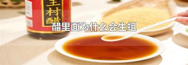 醋里面为什么会生蛆