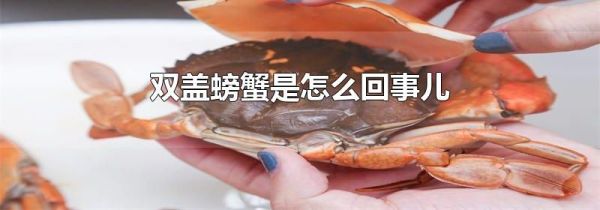 双盖螃蟹是怎么回事儿