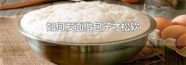 如何发面做包子才松软