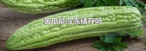 苦瓜能冷冻储存吗