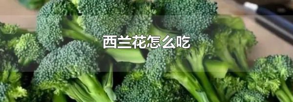 西兰花怎么吃