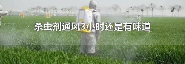 杀虫剂通风3小时还是有味道
