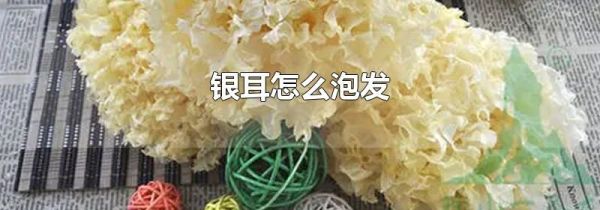 银耳怎么泡发