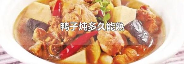 鸭子炖多久能熟