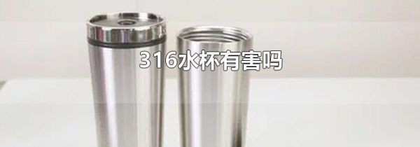 316水杯有害吗