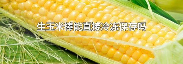 生玉米棒能直接冷冻保存吗