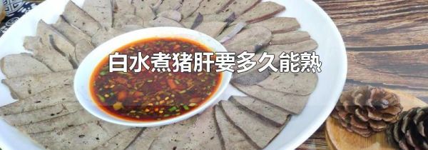 白水煮猪肝要多久能熟