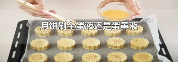 月饼刷全蛋液还是蛋黄液