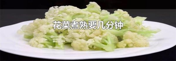 花菜煮熟要几分钟