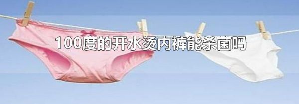 100度的开水烫内裤能杀菌吗