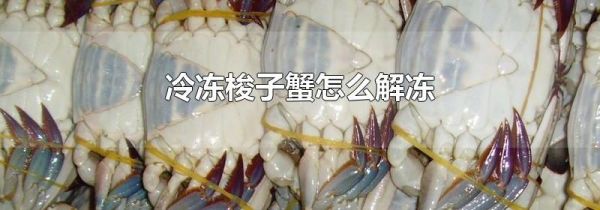 冷冻梭子蟹怎么解冻