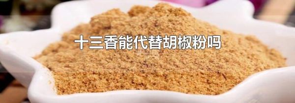 十三香能代替胡椒粉吗