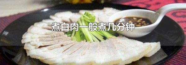 煮白肉一般煮几分钟