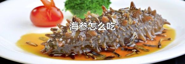 海参怎么吃