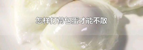 怎样打荷包蛋才能不散
