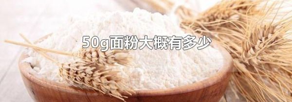 50g面粉大概有多少