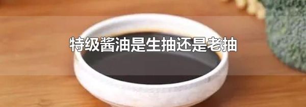 特级酱油是生抽还是老抽