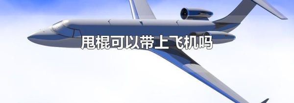 甩棍可以带上飞机吗