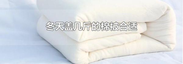 冬天盖几斤的棉被合适