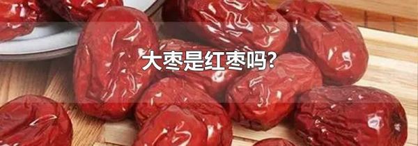 大枣是红枣吗?