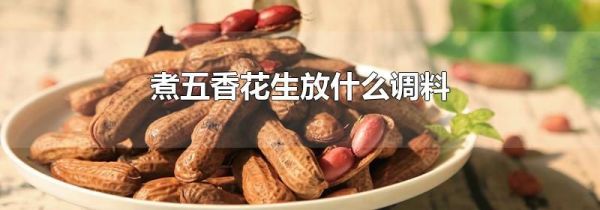 煮五香花生放什么调料