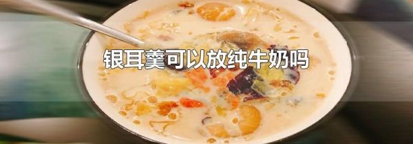 银耳羹可以放纯牛奶吗