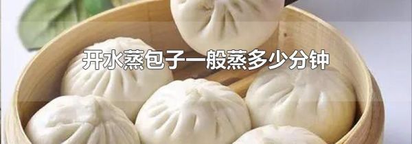 开水蒸包子一般蒸多少分钟