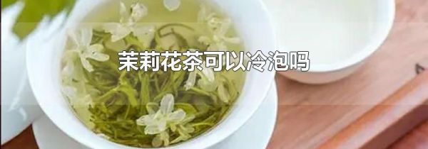茉莉花茶可以冷泡吗