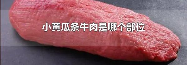 小黄瓜条牛肉是哪个部位