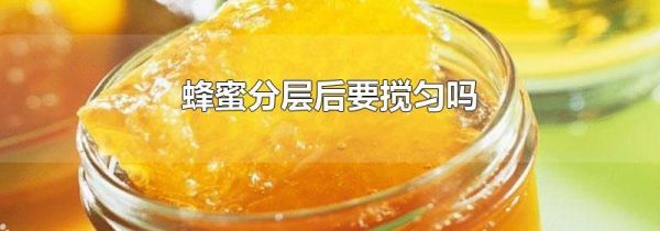 蜂蜜分层后要搅匀吗