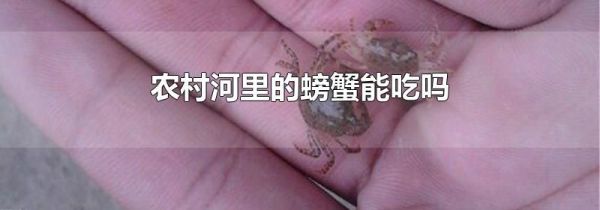 农村河里的螃蟹能吃吗
