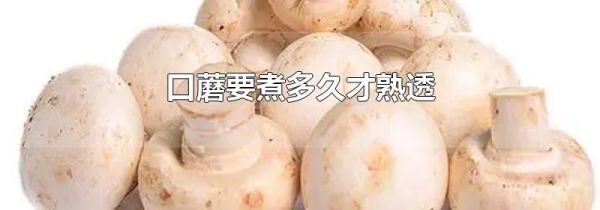 口蘑要煮多久才熟透