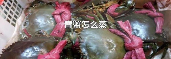 青蟹怎么蒸