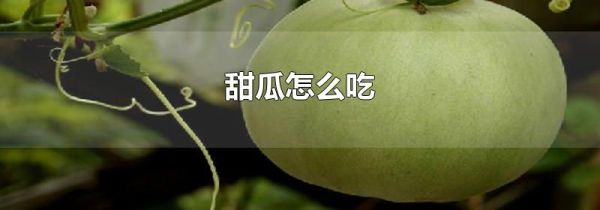 甜瓜怎么吃