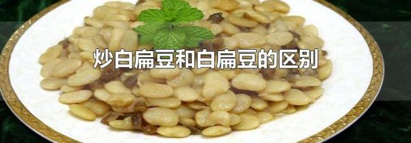 炒白扁豆和白扁豆的区别
