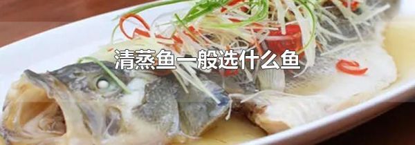 清蒸鱼一般选什么鱼