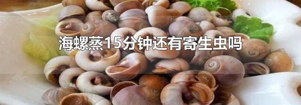 海螺蒸15分钟还有寄生虫吗