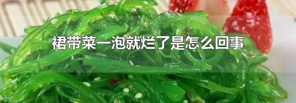 裙带菜一泡就烂了是怎么回事