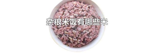 杂粮米饭有哪些米