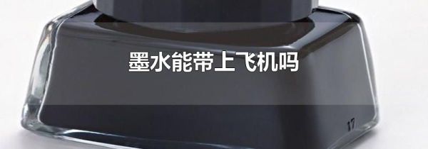 墨水能带上飞机吗