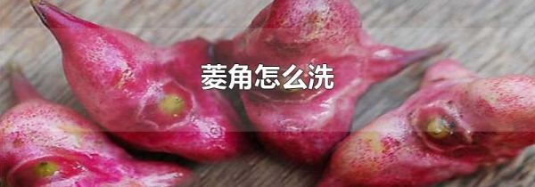 菱角怎么洗
