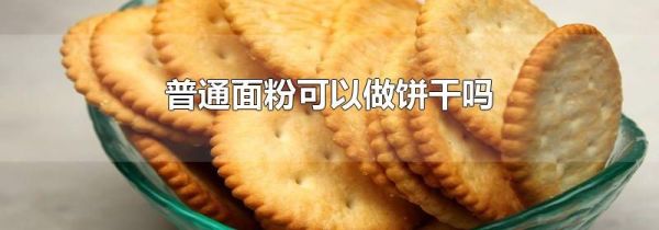 普通面粉可以做饼干吗