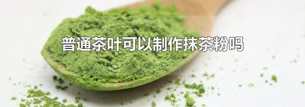 普通茶叶可以制作抹茶粉吗