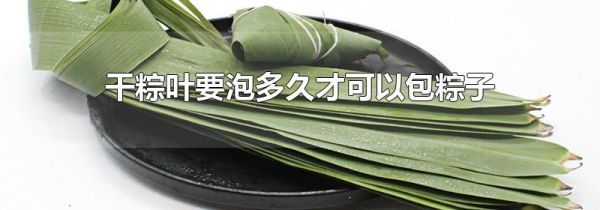 干粽叶要泡多久才可以包粽子