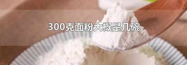 300克面粉大概是几碗