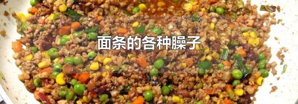 面条的各种臊子