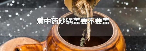 煮中药砂锅盖要不要盖